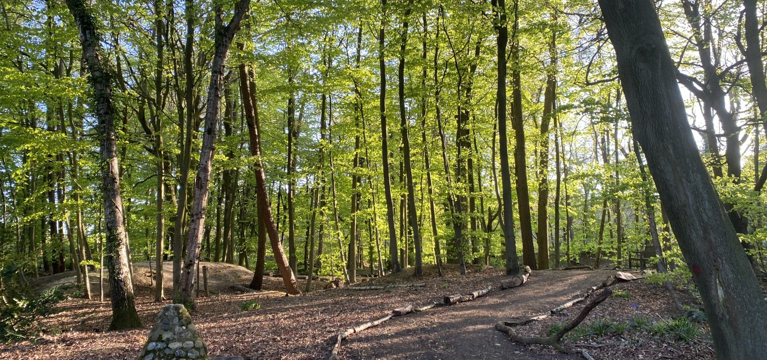 Forest School