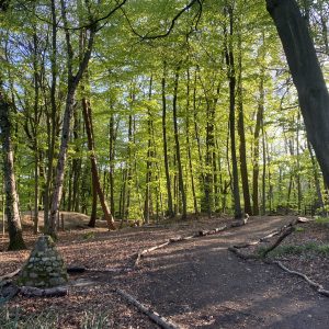 Forest School