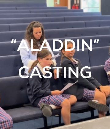 Aladdin casting